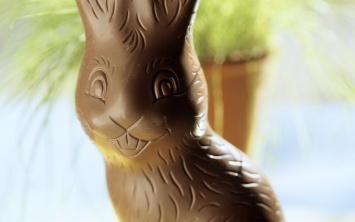 Ученые узнали, какие части шоколадных зайцев в первую очередь съедают люди