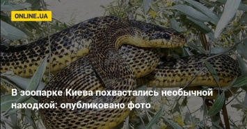 В зоопарке Киева похвастались необычной находкой: опубликовано фото