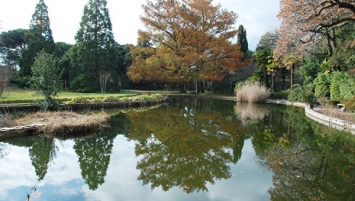 Парк "Монтедор" в Никитском ботаническом саду откроют до сентября - Плугатарь
