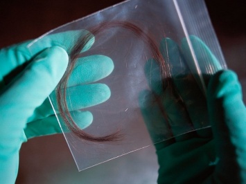 Анализ волоса помогает определить преступника - Ученые США