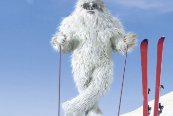 Канадские ученые доказали существование снежного человека