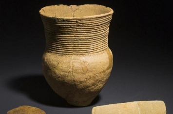 Шнуровая керамика помогла объяснить происхождение древних германцев