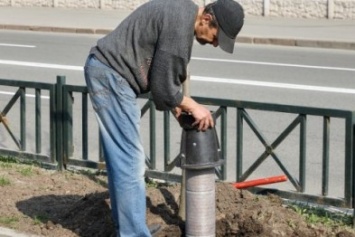 В Харькове внедряют новую технологию полива деревьев