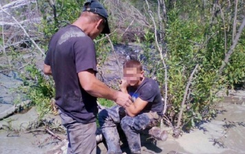 В Житомирской области задержаны 5 копателей янтаря с оборудованием