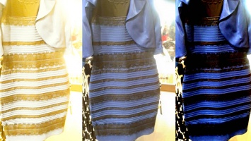 Какого цвета платье раздора? Ученые объяснили феномен восприятия цветов человеком
