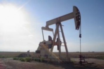 "Укрнафта" выставит на аукционе 20 апреля 259,3 тыс. тонн нефти