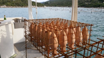 Подводный винный погреб в Хорватии