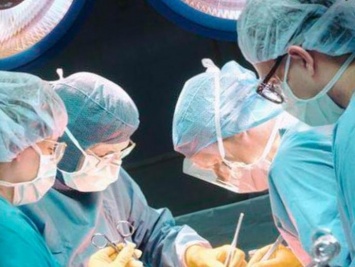 В Великобритании врачи впервые пересадят органы свиньи младенцам