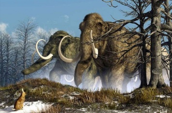 Палеонтологи узнали, от какой боли страдали мамонты