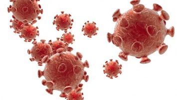 Биологи нашли новый "бункер" ВИЧ в организме человека