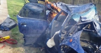 Жуткая ДТП в Житомирской области: тела погибших спасатели вырезали из автомобилей