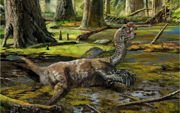 В Аргентине нашли яйца динозавров, которым 70 миллионов лет