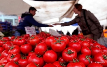 В России подсчитали потери от "помидорной войны" с Турцией