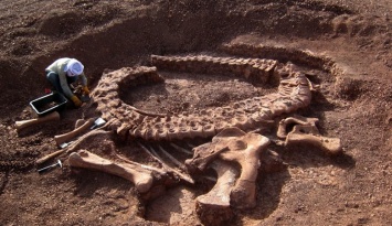 В США охотник обнаружил останки предка Несси