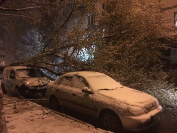 Апрельский снегопад в Харькове "наломал дров" и повредил машины