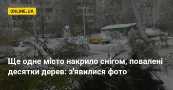 Еще один город накрыло снегом, повалены десятки деревьев: появились фото