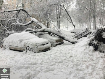 В Харькове из-за снегопада пострадали более 12 машин (Фото)