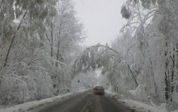 В Польше 132 тысячи человек остались без электричества из-за снегопада
