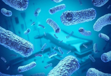 Ученые назвали самый опасный вид бактерий