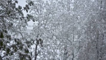 Одесчину накрывает снежная метель