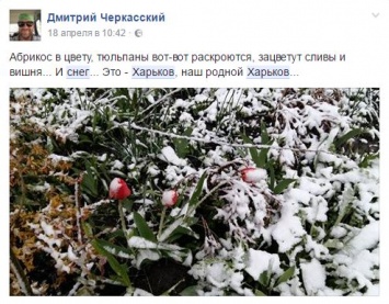 Шторм столетия. Как живут восток Украины без тепла, но со снегом