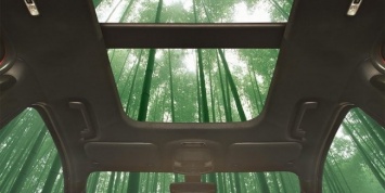 В конструкции автомобилей Ford применят бамбук