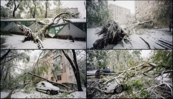 Непогода в Молдове: обесточены более двухсот населенных пунктов