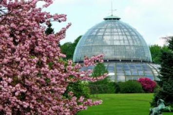 Королевские оранжереи в Брюсселе открыты до 5 мая