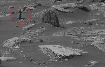 Пенек окаменевшего дерева обнаружен на снимке Марса