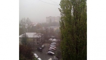 Зима в конце апреля: в Симферополе снегопад