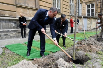 В сети возмущаются главой Львовской ОГА, подстелившим коврик при посадке деревьев