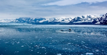 Ученые считают Арктику климатическим индикатором