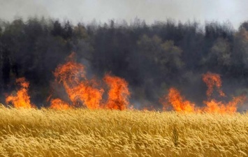 В Украине количество пожаров в экосистемах в этом году возросло в 1,4 раза, - ГосЧС