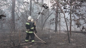 Пожар, вызвавший задымление в Киеве, потушили, но смог может вернуться