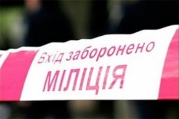 В поле под Марьинкой обнаружено тело мужчины, подорвавшегося на взрывчатке