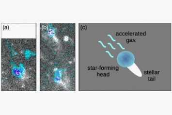 Ученые обнаружили уникальную галактику, похожую на медузу