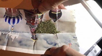 В Сумах на выходные патрульные обнаружили 8 фактов незаконного оборота наркотических веществ (+фото)