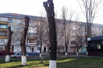 Тотальная обрезка: зачем киевские деревья превращают в столбы
