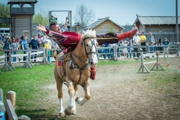 Под Киевом состоится фестиваль конно-трюкового искусства