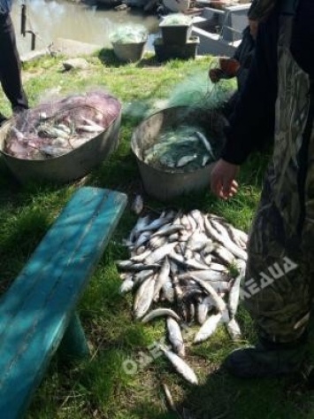 В Одесской области пограничники задержали рыбаков, которые ловили рыбу сеткой длиной 1,2 км