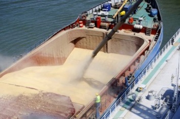 Стоимость перевалки зерна в черноморских портах России снизилась примерно в 1,5 раза - ИКАР