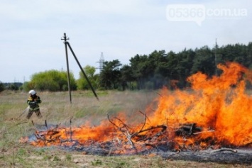 Как кременчугские спасатели и лесники тушили "лесной пожар" под Кременчугом (фоторепортаж)