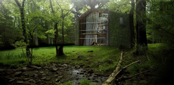 Архитекторы предложили концепт экодома, обеспечивающего симбиоз человека и дерева
