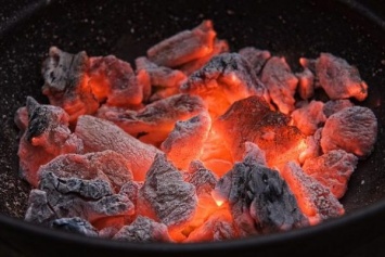 Как выбрать уголь для шашлыка