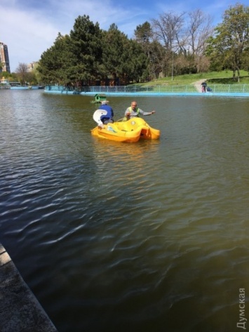 В парке Победы готовятся осушить нижний пруд: сетями вылавливают рыбу и черепах (фотофакт)