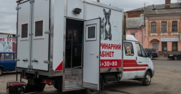 В Харькове начали работать передвижные ветеринарные кабинеты