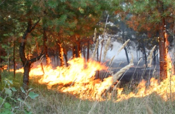 С приходом тепла на Николаевщине за сутки случилось 5 пожаров на открытой территории