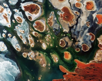 Спутник показал уникальный снимок пустынного оазиса