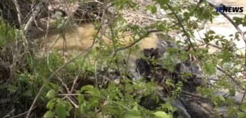 Прорвало: отдыхающие в Каховском водохранилище плавают в фекалиях (Видео)