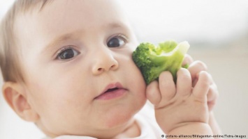 Немецкие врачи: Чем кормить ребенка до года?